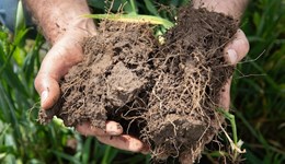 Pembrokeshire, Wales Monitor Farm Network - Soil health with David Purdy